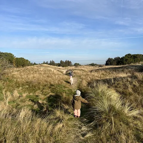 Two children playing with blocks